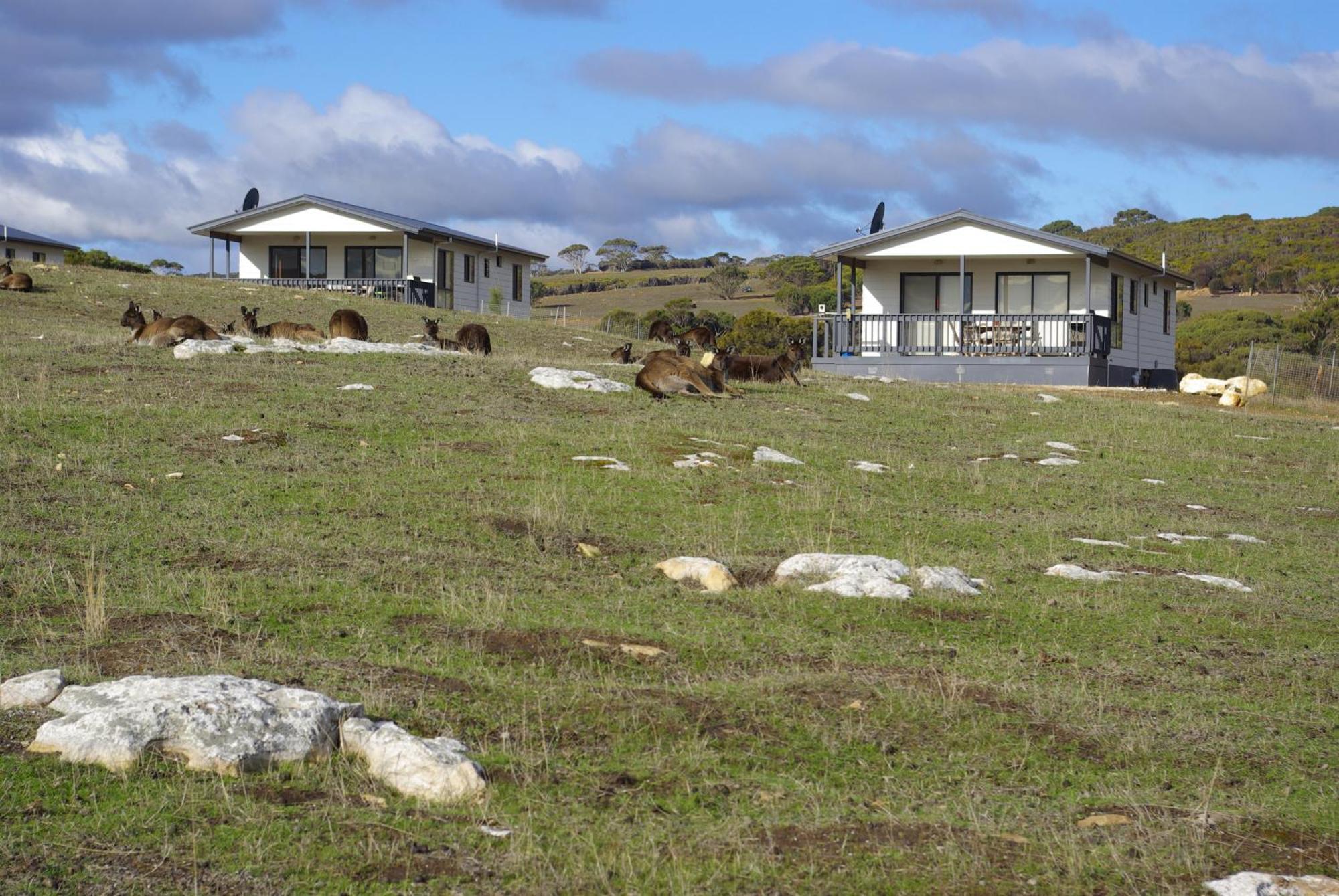 Stokes Bay袋鼠岛海浪野生小屋别墅 外观 照片